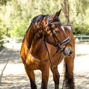 Sb-041 Saddlery Goods Patent Snaffle Bridle with White Padding