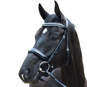 Sb-043 Saddlery Goods Black Patent Sparkle Double Bridle