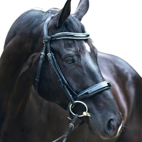 Sb-043 Saddlery Goods Black Patent Sparkle Double Bridle