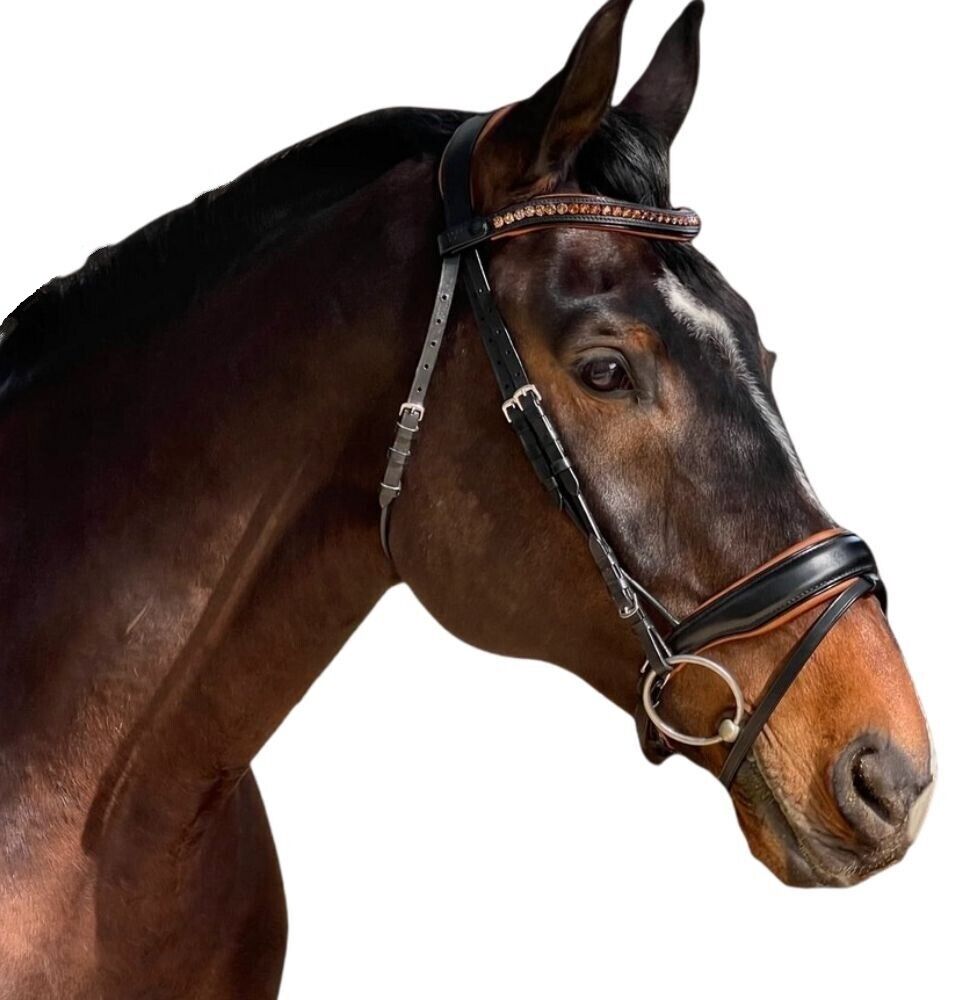 Sb-046 Saddlery Goods Black Leather Rolled Leather Snaffle Bridle with Flashd Cognac Colored Padding