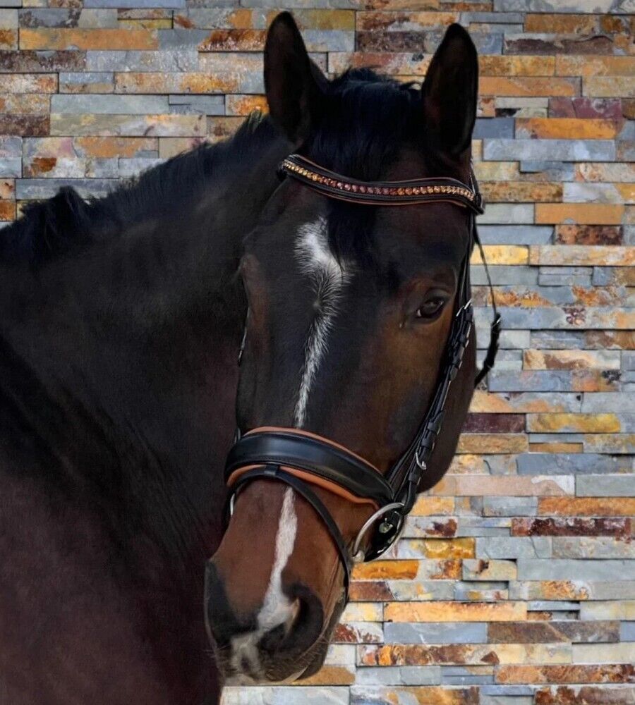 Sb-046 Saddlery Goods Black Leather Rolled Leather Snaffle Bridle with Flashd Cognac Colored Padding