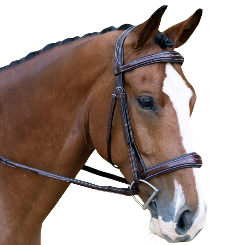 Sb-047 Saddlery Goods Premium Hunter Collection Cavesson Noseband HorseBridle Fancy Stiched Laced Reins