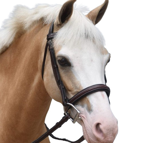 Sb-048 Saddlery Goods Hunter Bridle Square Raised New Version Fancy Stitch of Popular Bridle with Laced Reins