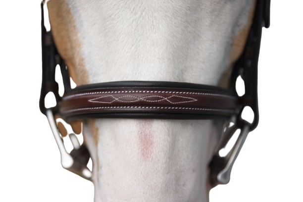 Sb-048 Saddlery Goods Hunter Bridle Square Raised New Version Fancy Stitch of Popular Bridle with Laced Reins