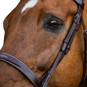 Sb-049 Saddlery Goods Thoughtfully Designed “A” Circuit Hunter Horse Bridle High Quality Vegetable-Tanned Leather with Reins