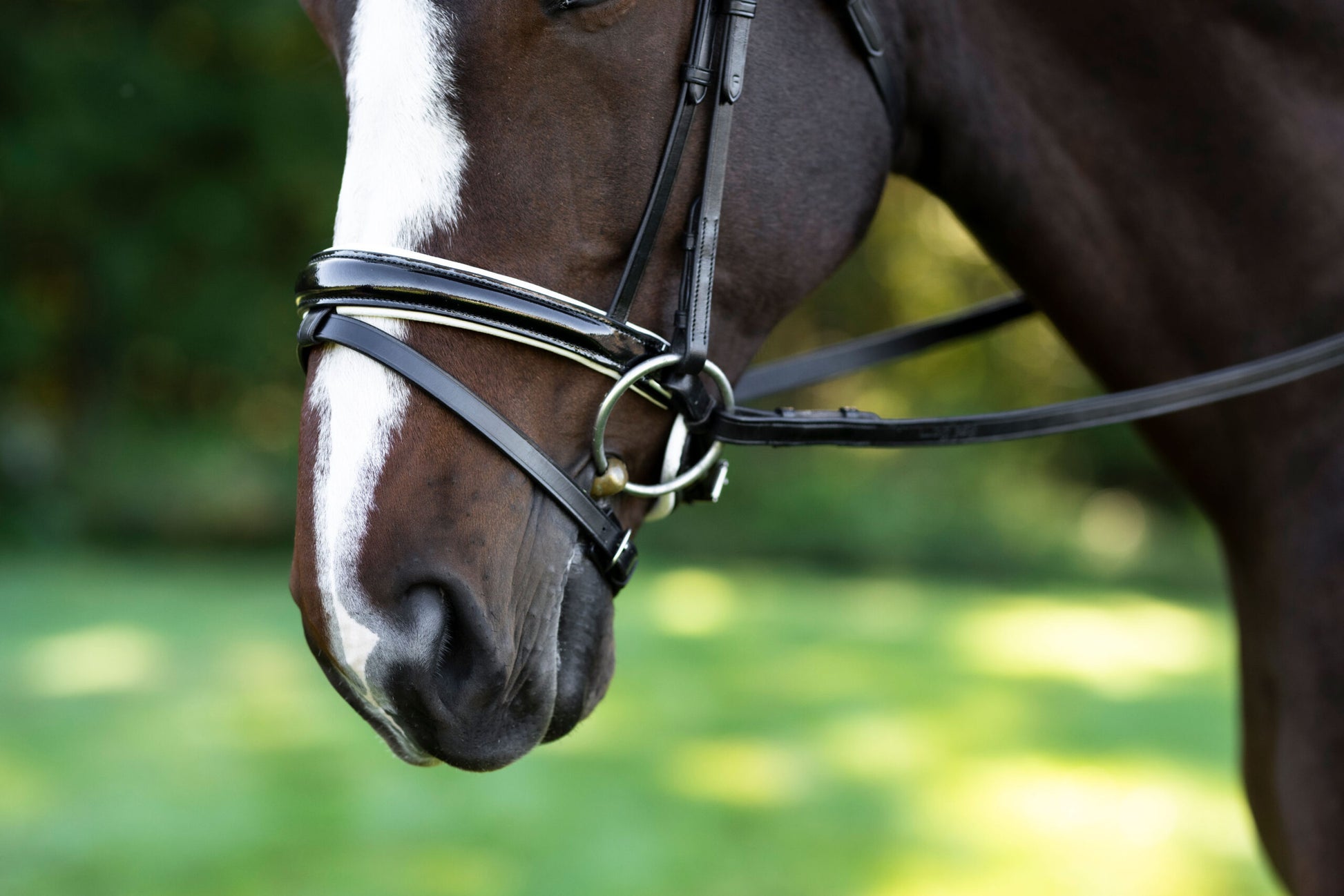 Sb-025 Saddlery Goods Stride Dressage Bridle Black Color Leather