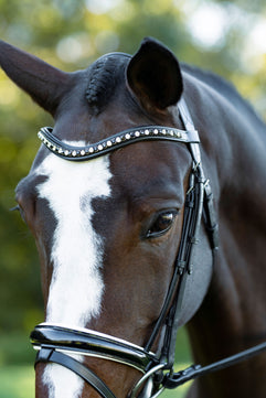 Sb-025 Saddlery Goods Stride Dressage Bridle Black Color Leather