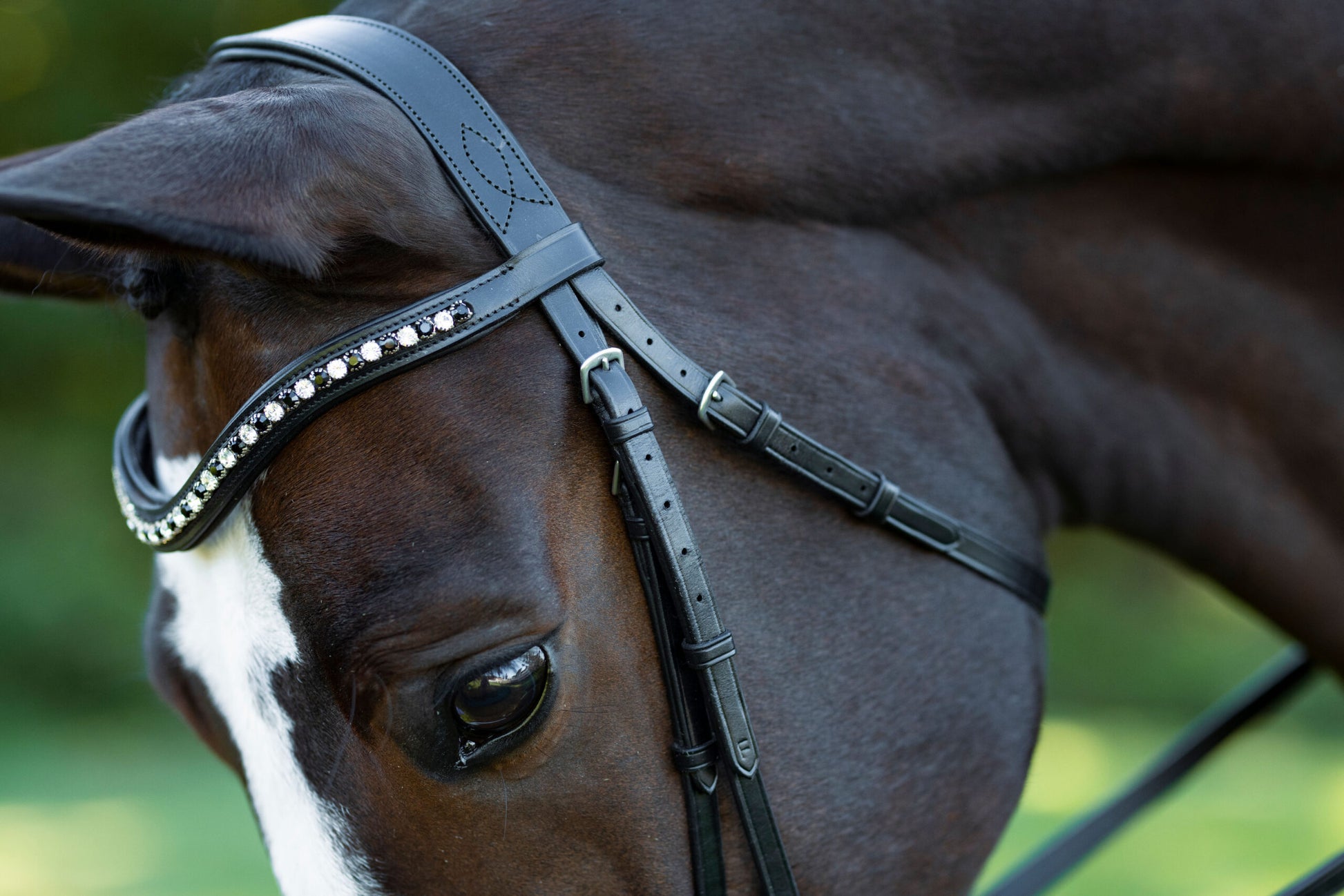 Sb-025 Saddlery Goods Stride Dressage Bridle Black Color Leather