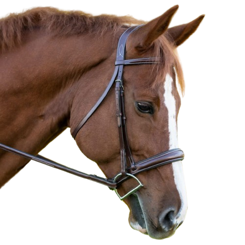 Sb-50 Saddlery Goods Hunter Anatomic Horse Bridle Raised Fancy Stitched Bridle Matching Laced Reins