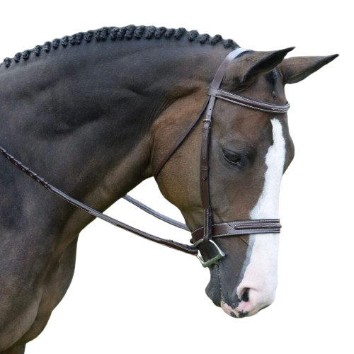 Sb-51 Saddlery Goods Unique Hunter Horse Bridle New Collection Spruce Bridle - Square Raised with Fancy Stitching