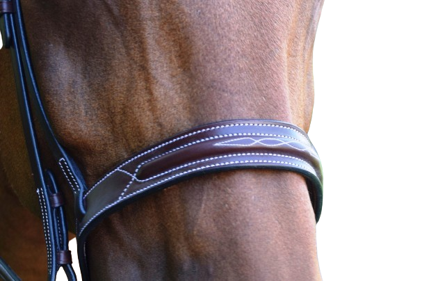 Sb-51 Saddlery Goods Unique Hunter Horse Bridle New Collection Spruce Bridle - Square Raised with Fancy Stitching