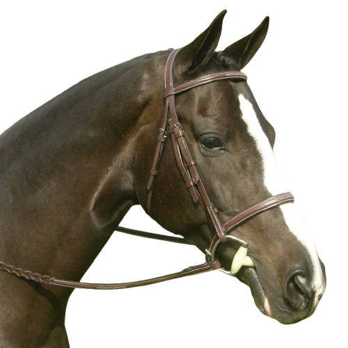 Sb-53 Saddlery Goods Classic Look Hunter Bridle Fancy Stitched Noseband Complete with 5/8” Fancy Stitched Round Raised Laced Reins