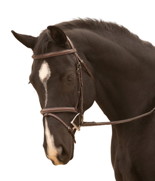 Sb-53 Saddlery Goods Classic Look Hunter Bridle Fancy Stitched Noseband Complete with 5/8” Fancy Stitched Round Raised Laced Reins