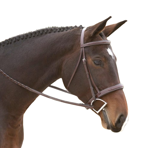 Sb-54 Saddlery Goods Premium Quality Extra Soft Horse Jumper Styles New Collection Bridle