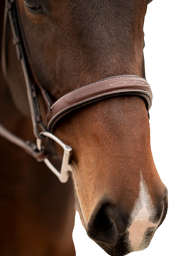 Sb-54 Saddlery Goods Premium Quality Extra Soft Horse Jumper Styles New Collection Bridle