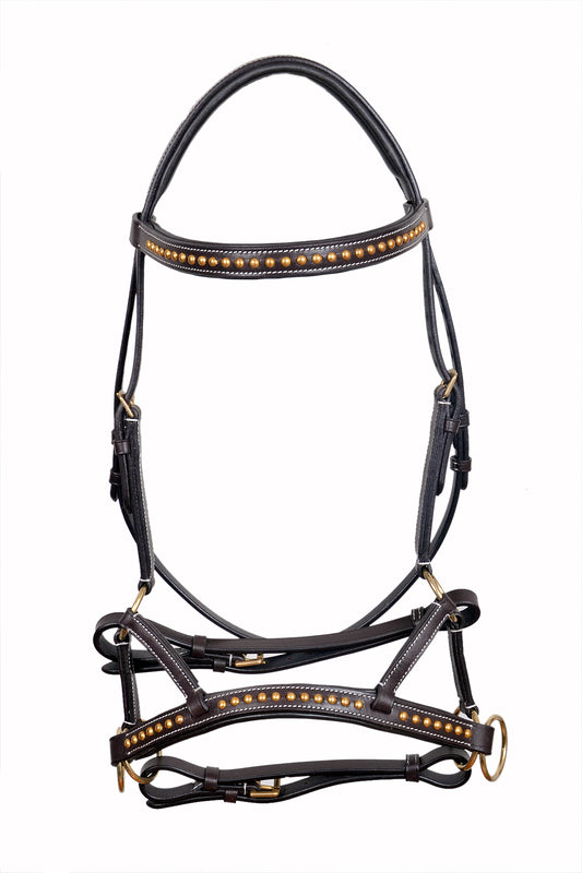 Saddlery Goods Horse Western Leather Bitless Training Side Pull Bridle with Brass Hardware